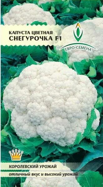 Капуста снегурочка описание сорта фото отзывы Купить Капуста цветная Снегурочка F1 (Евро-Семена) по цене от 38 руб