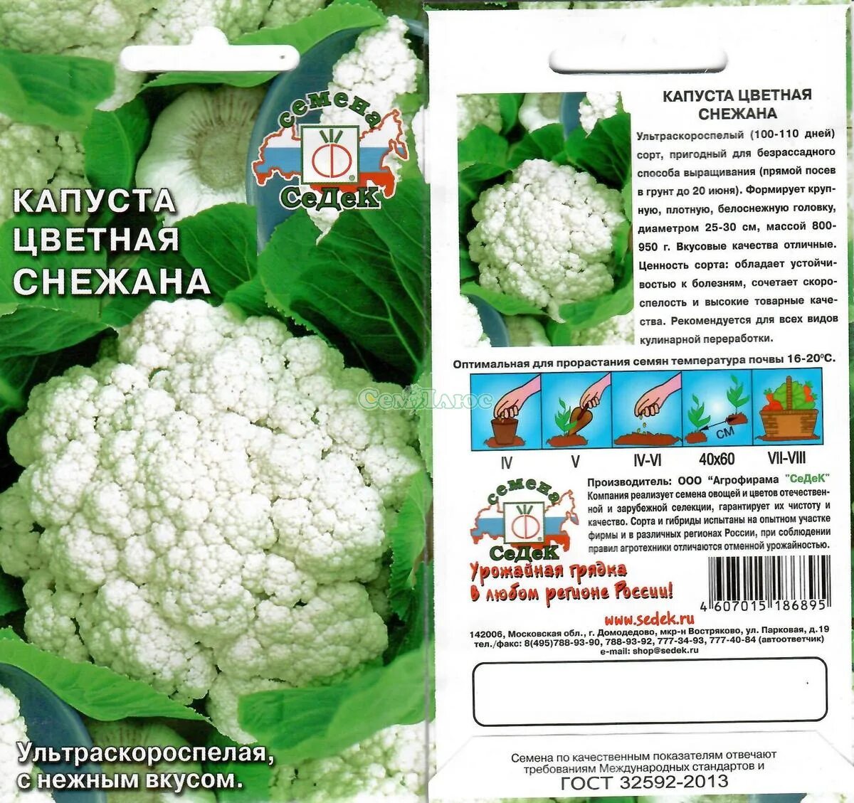 Капуста снегурочка описание сорта фото отзывы Купить Капуста цветная Снежана Седек по цене 23 руб. в Иркутске в интернет-магаз