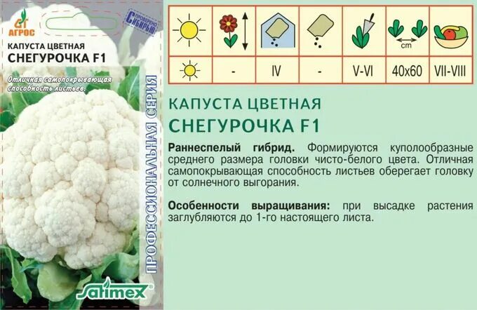Капуста снегурочка описание сорта фото отзывы садоводов Капуста цв."Снегурочка"F1 15шт*, Нидерланды, ран Капуста. Семена овощей
