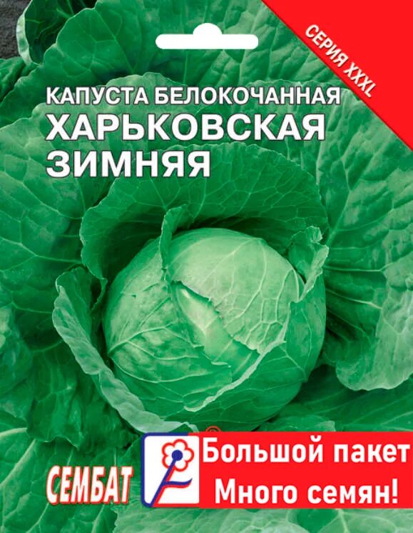 Капуста снежинка описание сорта фото отзывы Капуста Сембат Капуста XXXL - купить по выгодным ценам в интернет-магазине OZON 