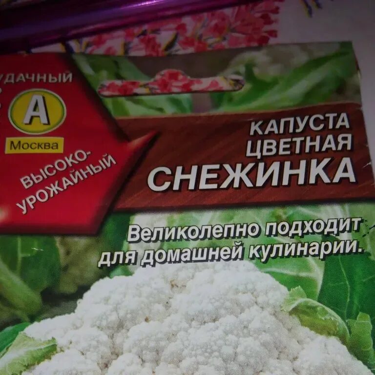 Капуста снежинка описание сорта фото отзывы Капуста цветная Снежинка - описание семян с фотографиями растения. Отзывы покупа