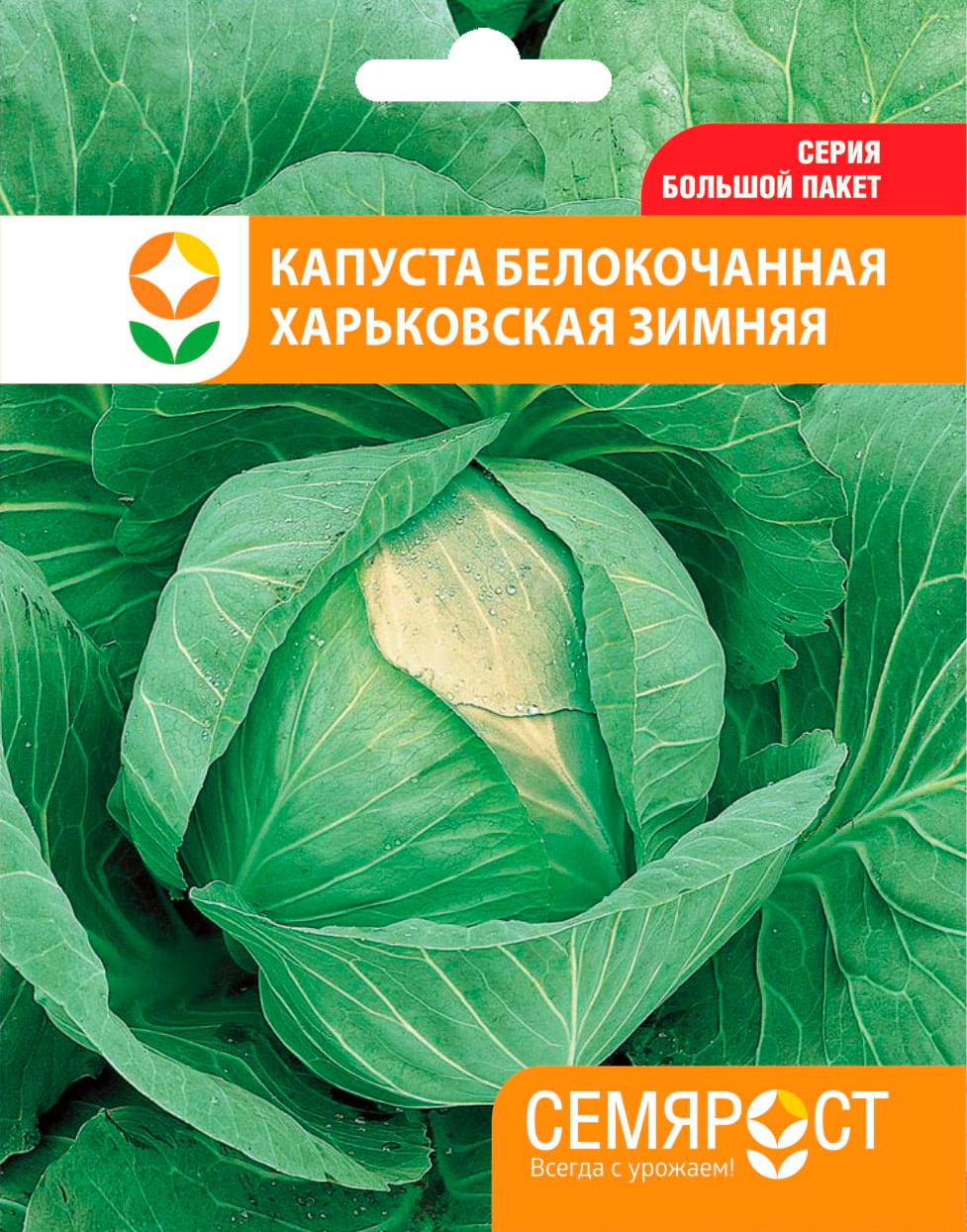 Капуста снежинка описание сорта фото отзывы Капуста СЕМЯРОСТ Капуста_Харьковская зимняя - купить по выгодным ценам в интерне