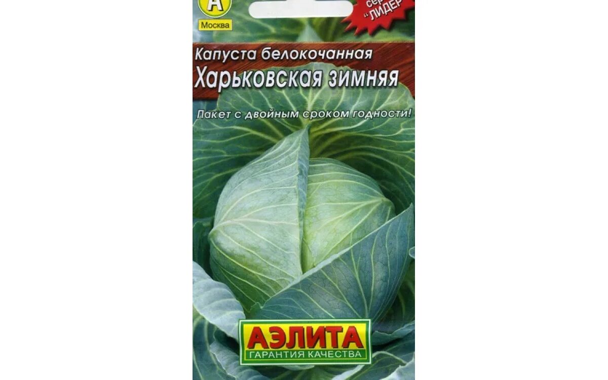Капуста снежинка описание сорта фото отзывы Капуста белокочанная Харьковская Зимняя 0.5г Аэлита купить в Нижнем Новгороде