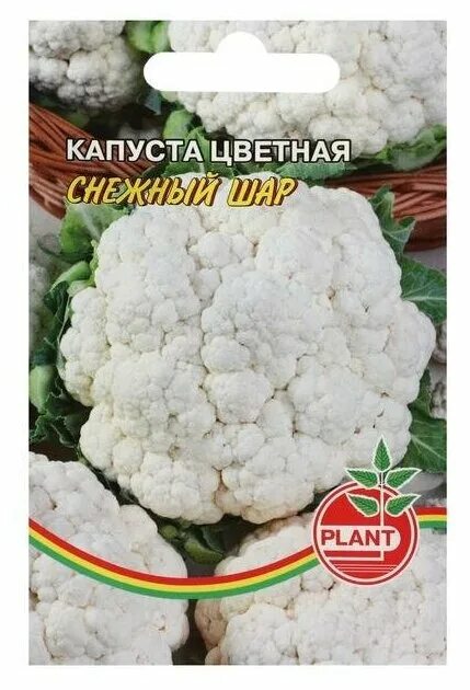 Капуста снежный шар описание сорта фото отзывы Семена Капуста цветная "Снежный шар", 0,3 г - купить в интернет-магазине по низк