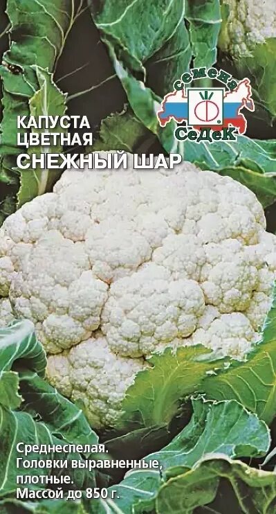 Капуста снежный шар описание сорта фото отзывы Семена Капуста цв Снежный шар (Седек) купить в магазине 6соток - Красноярск