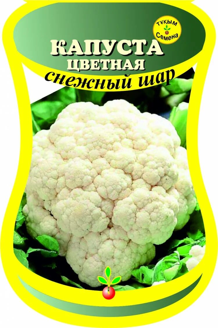 Капуста снежный шар описание сорта фото отзывы Капуста цветная Снежный шар (сем. Германия) 20 шт.