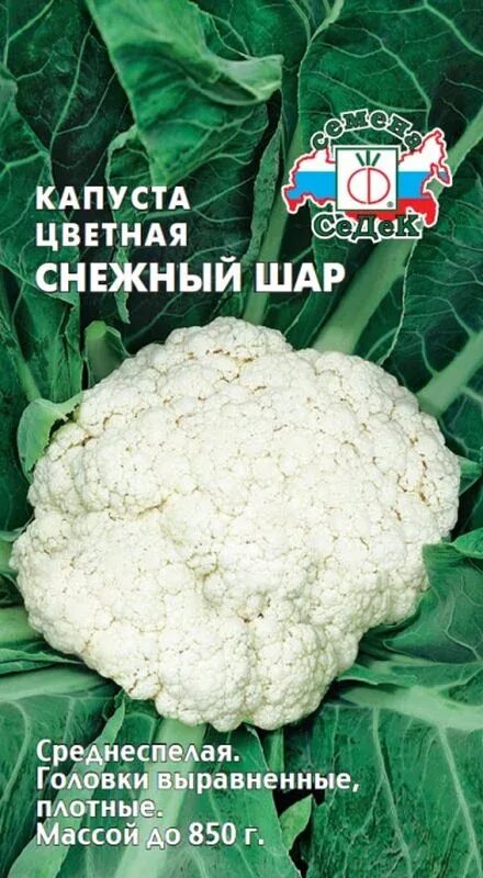 Капуста снежный шар описание сорта фото отзывы Семена Капуста цветная Снежный шар : описание сорта, фото - купить с доставкой и