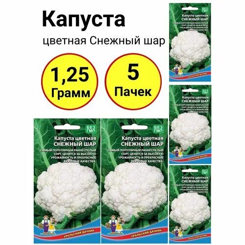Капуста снежный шар описание сорта фото отзывы шар рябина Уральский дачник купить недорого в интернет магазине с доставкой до д