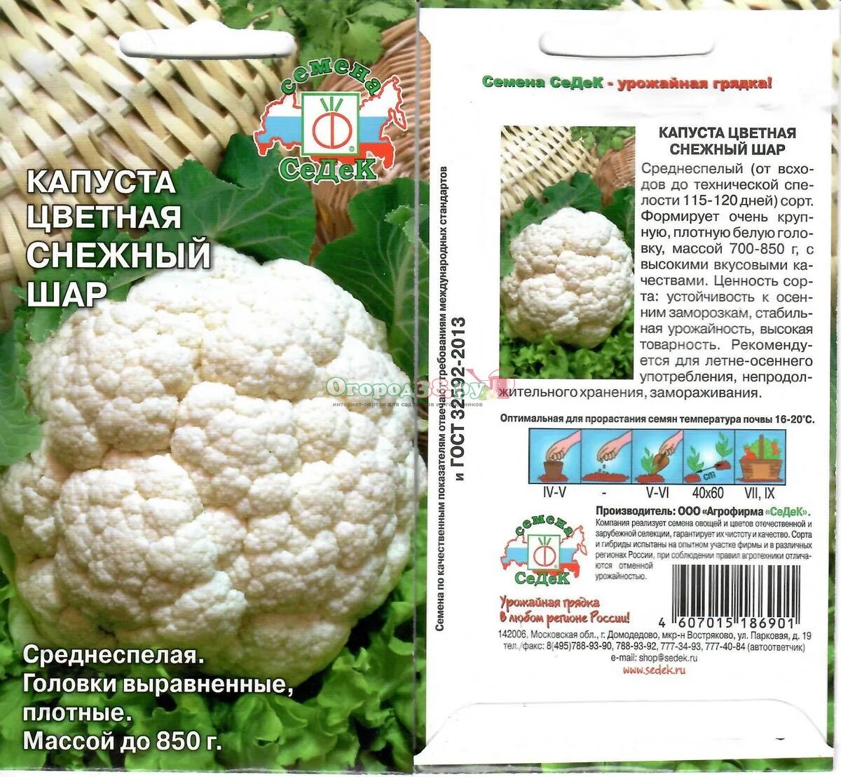 Капуста снежный шар описание сорта фото отзывы Капуста цветная Снежный шар 0,5г (ср)