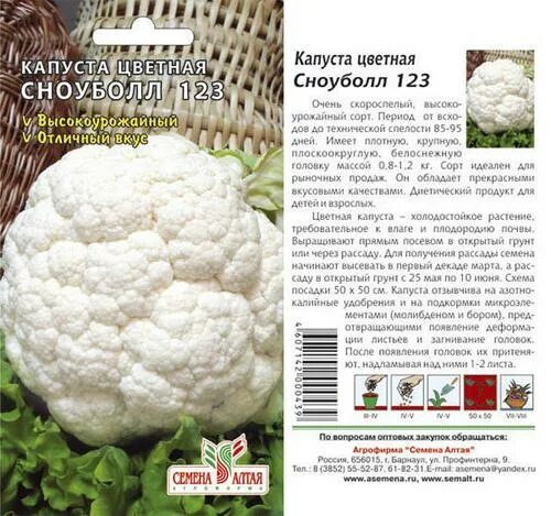 Капуста сноуболл описание сорта фото Цветная капуста Сноуболл 123: отзывы и фото семян Аэлита, уход и выращивание из 