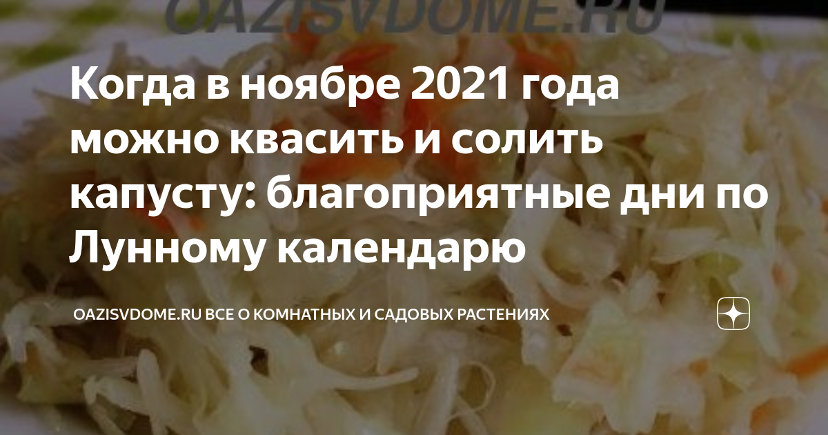 Капуста солить в октябре по лунному календарю Когда в ноябре 2021 года можно квасить и солить капусту: благоприятные дни по Лу