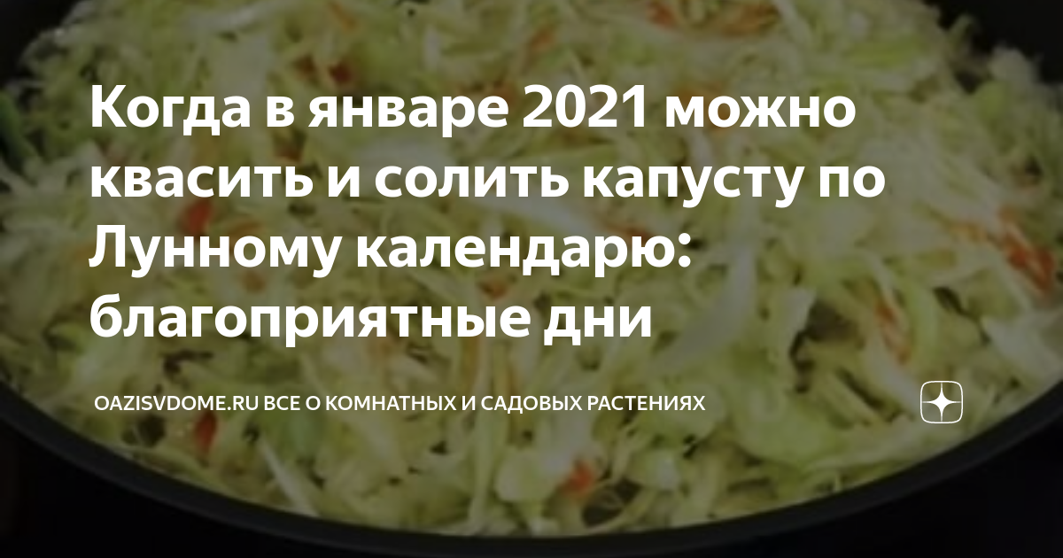 Капуста солить в октябре по лунному календарю Когда в январе 2021 можно квасить и солить капусту по Лунному календарю: благопр