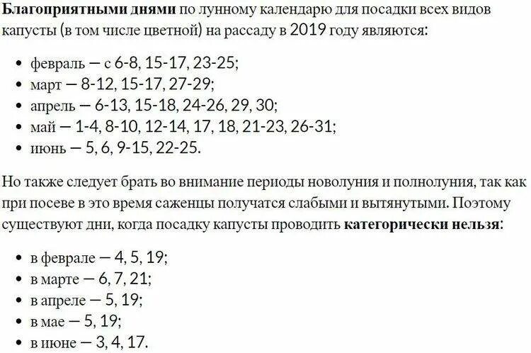 Капуста солить в октябре по лунному календарю Когда нужно сажать капусту на рассаду в 2019 году, сроки посадки, благоприятные 