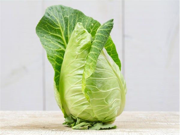 Капуста сонсма фото Cour Di Bue Cabbage Baker Creek Heirloom Seed Co