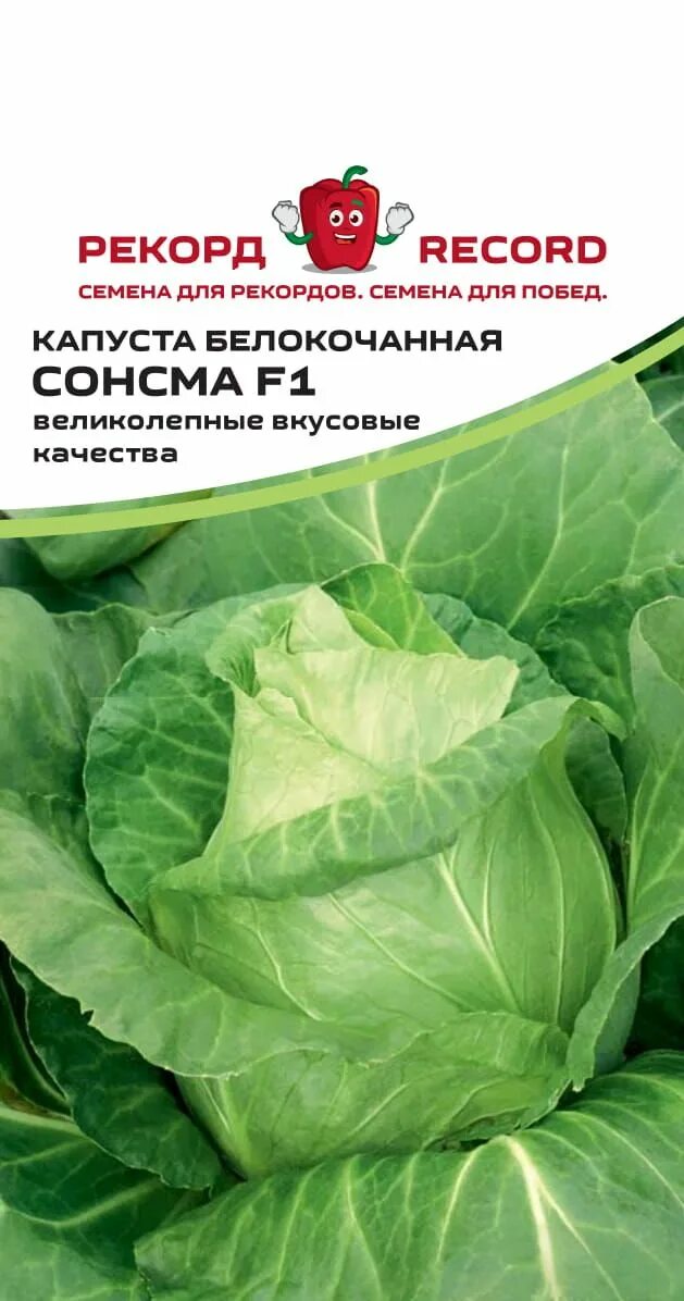 Капуста сонсма описание сорта фото отзывы Купить Капуста белокочанная "Рекорд" Сонсма F1 10 сем в Онсад.ру с доставкой Поч