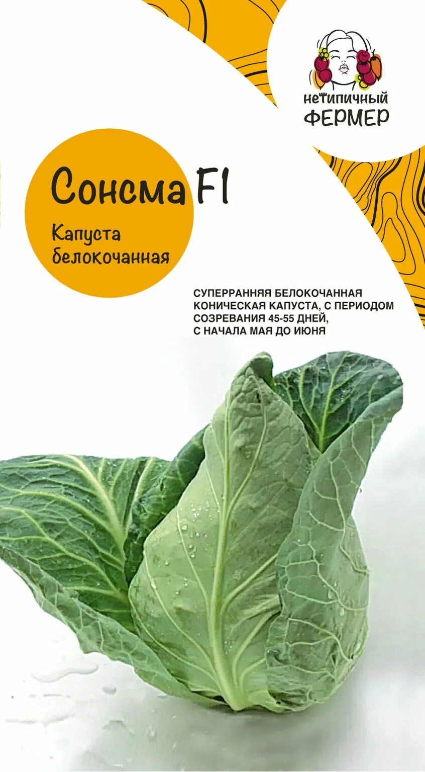 Капуста сонсма описание сорта фото отзывы Капуста Нетипичный Фермер Капуста - купить по выгодным ценам в интернет-магазине