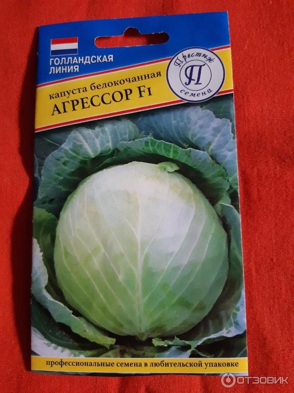 Капуста сорт агрессор характеристика и отзывы фото Отзыв о Семена капуста Eco Product "Агрессор" Выше всяких похвал
