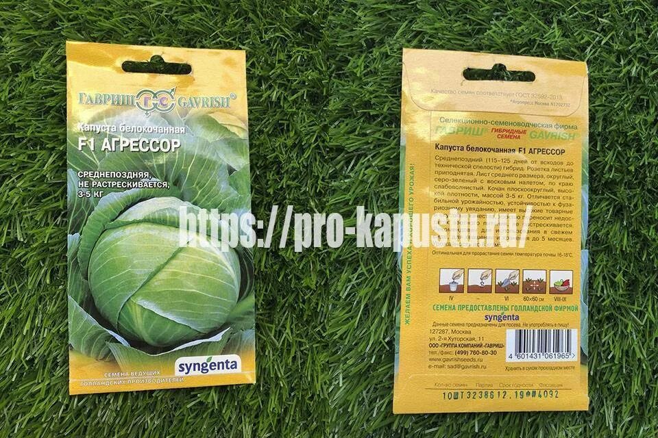 Капуста сорт агрессор характеристика и отзывы фото Капуста агрессор описание сорта фото отзывы