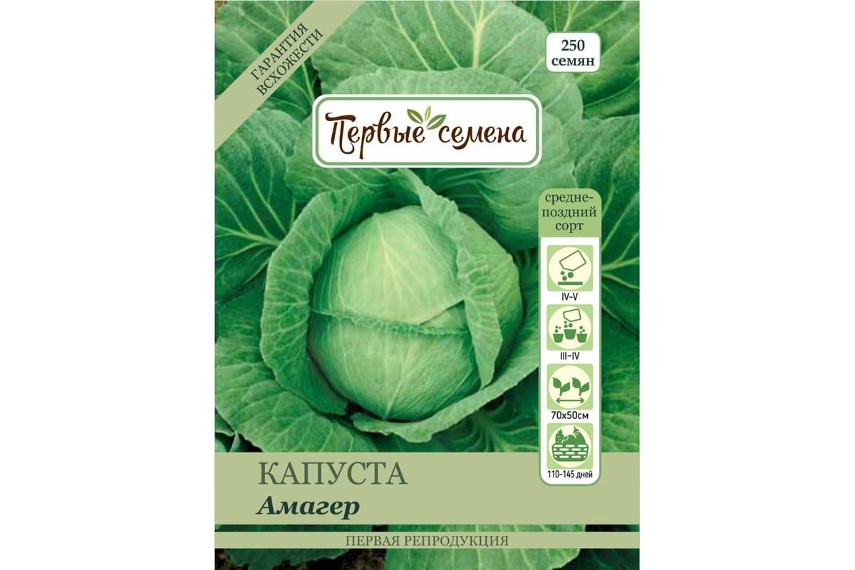 Капуста сорт амагер фото Семена Первые семена Капуста б/к Амагер 020418-1Семена - выгодная цена, отзывы, 