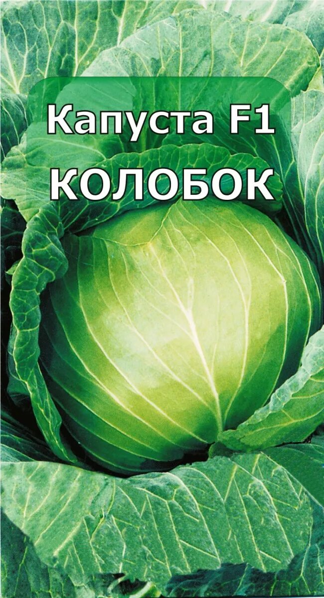 Капуста сорт колобок фото Капуста Колобок F1 - купить в Новосибирске по низкой цене в интернет-магазине Ми