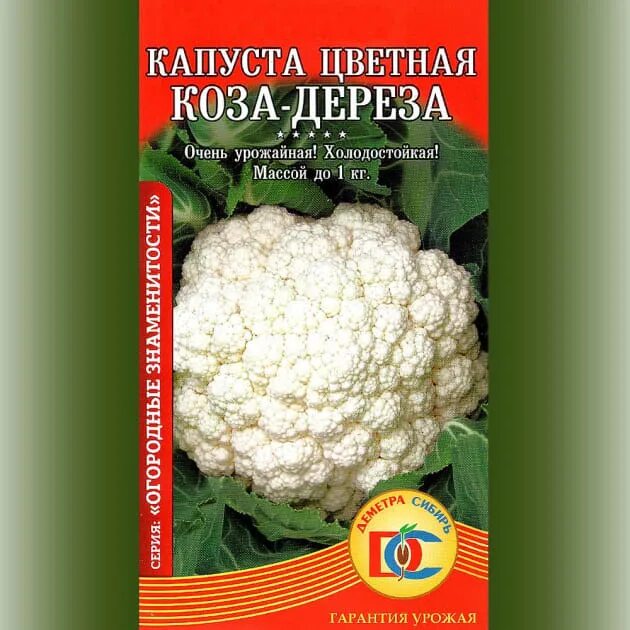 Капуста сорт коза дереза фото Капуста цветная коза дереза фото Molot-Club.ru
