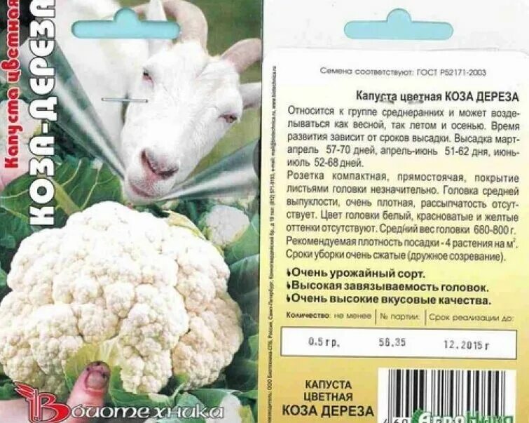 Капуста сорт коза дереза фото Выращивание цветной капусты. Мои рассадные мучения. Сорт Коза-Дереза. 8 соток в 
