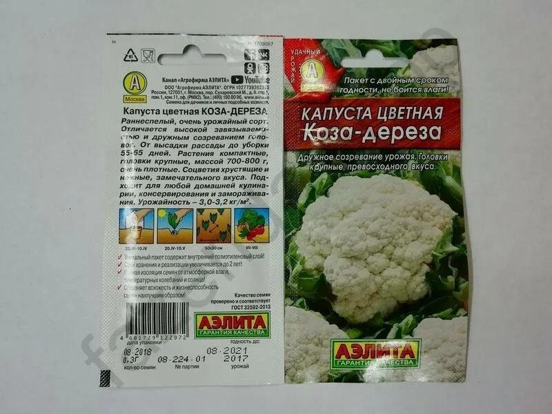Капуста сорт коза дереза фото Капуста цветная коза дереза фото Molot-Club.ru