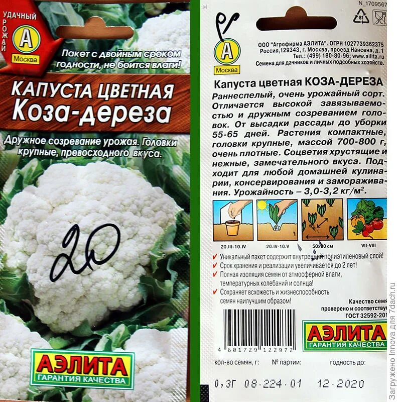 Капуста сорт коза дереза фото Домашнее задание № 11: цветная капуста для новых дачников