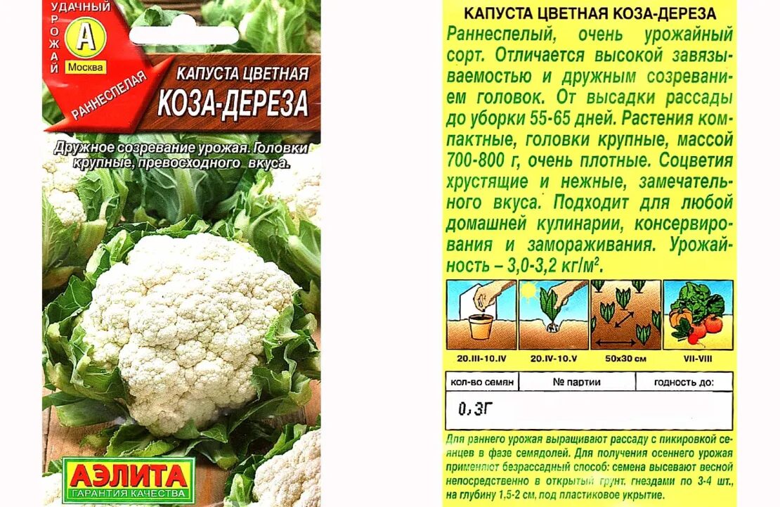 Капуста сорт коза дереза фото Капуста цветная Коза-дереза - купить в Москве в интернет-магазине