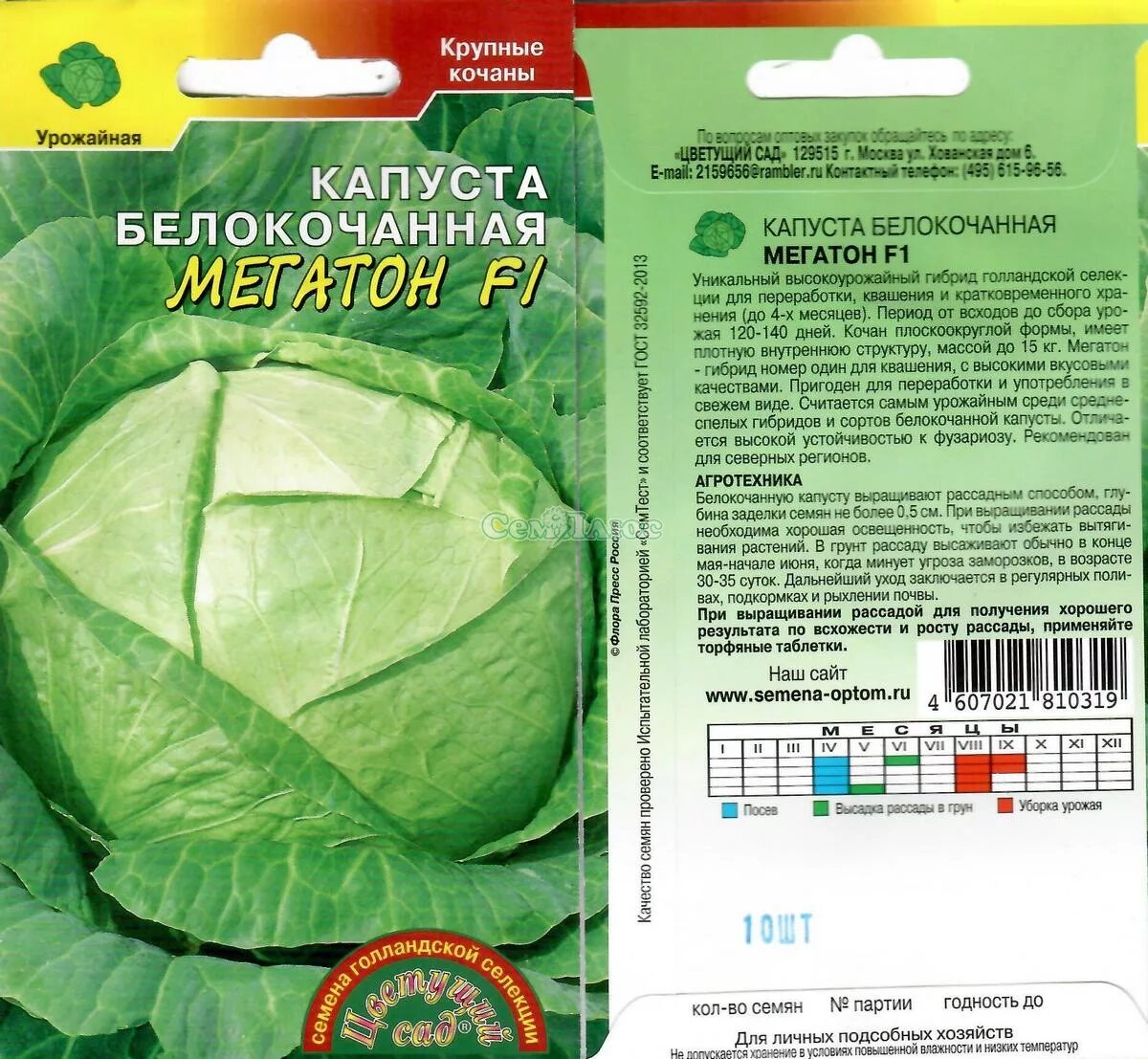 Капуста сорт мегатон отзывы фото Капуста сорт мегатон фото - DelaDom.ru