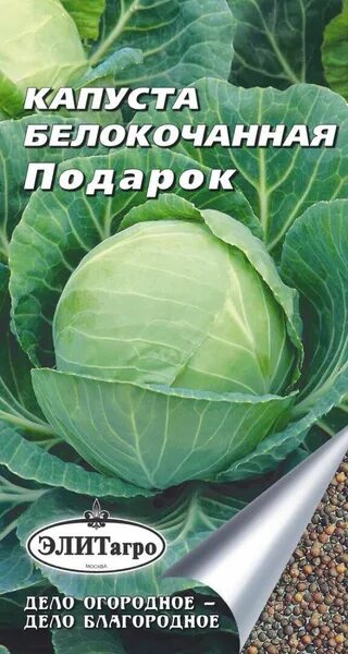 Капуста сорт подарок фото Капуста Элитагро Капуста белокочанная Подарок (0,5 г), 2 пакета - купить по выго
