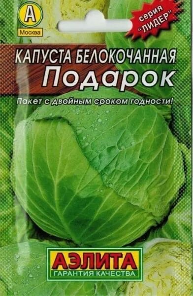 Капуста сорт подарок фото Капуста белокочанная Подарок купить в Туле - низкие цены от компании "Домстрой"