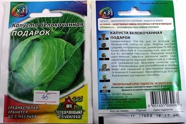 Капуста сорт подарок фото Подарок капуста фото - DelaDom.ru