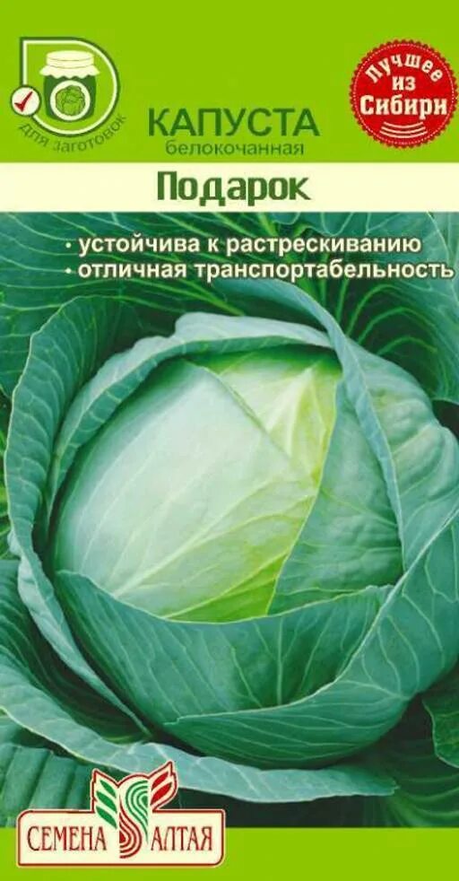 Капуста сорт подарок фото Капуста подарок: характеристика и описание сорта, выращивание и уход