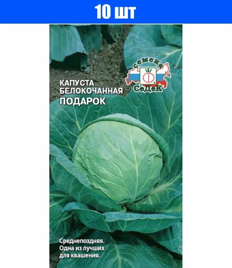 Капуста сорт подарок фото koiko 1003718 - купить по выгодным ценам в интернет-магазине OZON (741441295)
