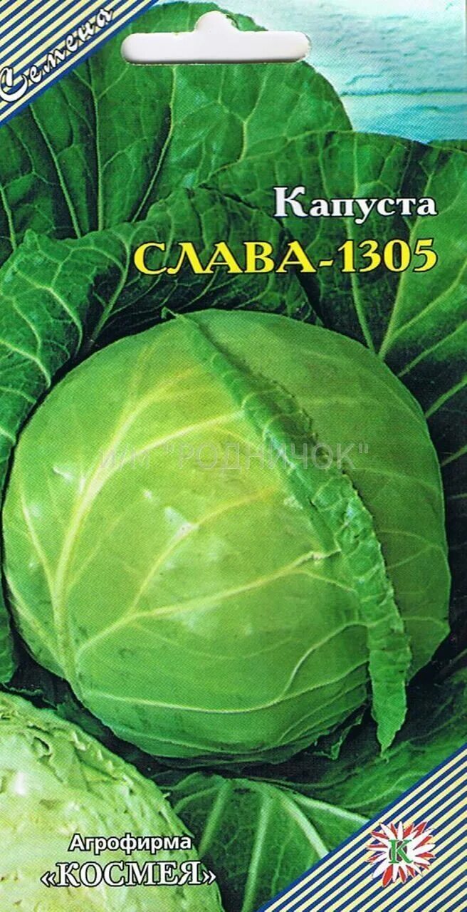 Капуста сорт слава фото Капуста Слава-1305