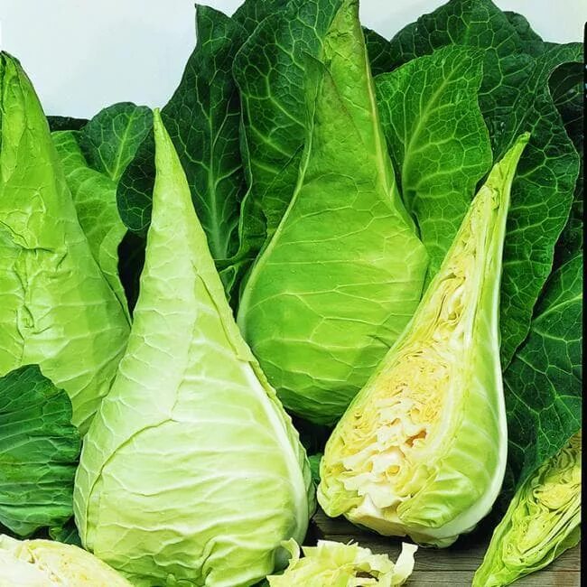 Капуста сорта и виды с фото Капуста кочанная Cabbage Filderkraut Hilmar - купить семена в интернет-магазине