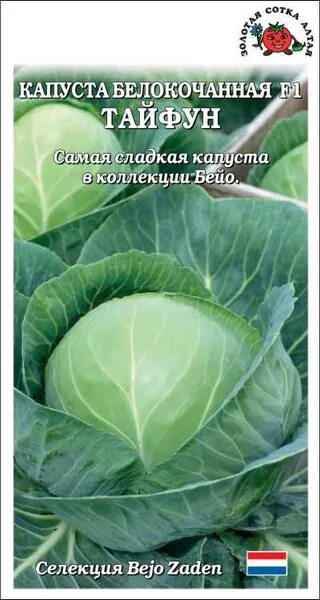 Капуста тайфун описание сорта фото отзывы Золотая сотка Алтая 56329с - купить по выгодным ценам в интернет-магазине OZON (