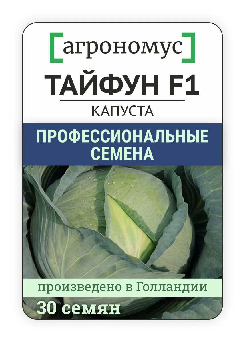 Капуста тайфун описание сорта фото отзывы Капуста агрономус 347953832 - купить по выгодным ценам в интернет-магазине OZON 