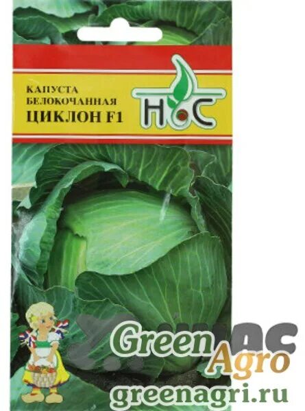 Капуста циклон описание сорта фото отзывы Купить Семена пакетированные Капуста Циклон НС,Новые семена, купить по НИЗКОЙ це