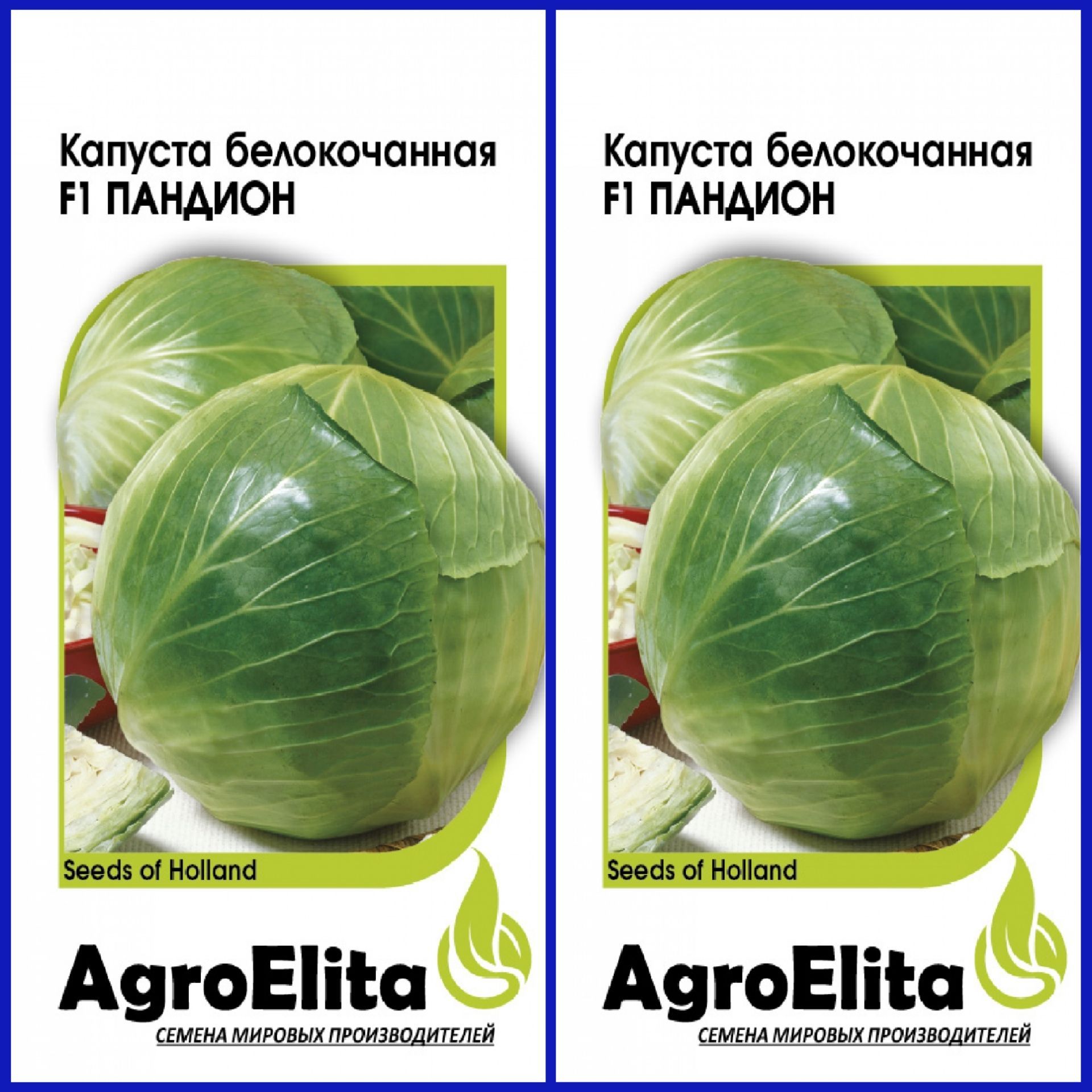 Капуста циклон описание сорта фото отзывы Капуста AgroElita Капуста - купить по выгодным ценам в интернет-магазине OZON (8