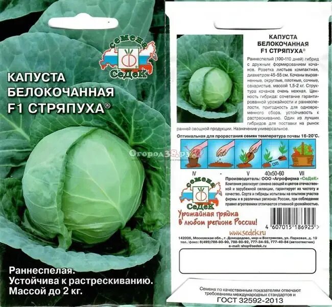 Капуста циклон описание сорта фото отзывы Капуста стряпуха описание сорта