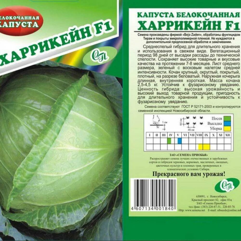 Капуста циклон описание сорта фото отзывы Всё о капусте ринда - описание сорта, посадка, уход и другие нюансы + фото