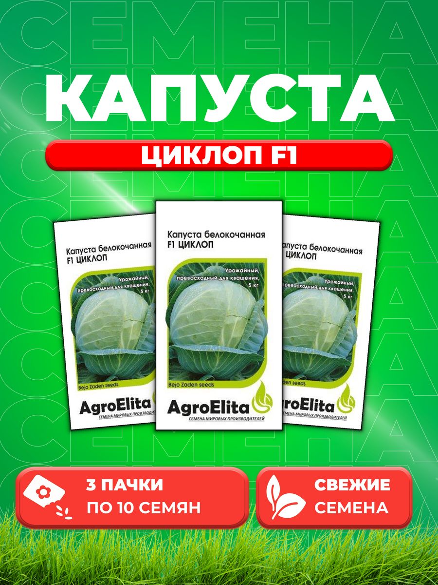 Капуста циклон описание сорта фото отзывы Семена Капуста белокочанная Циклоп F1, 10шт, Sakata(3уп) - купить в ИП Кунаева И