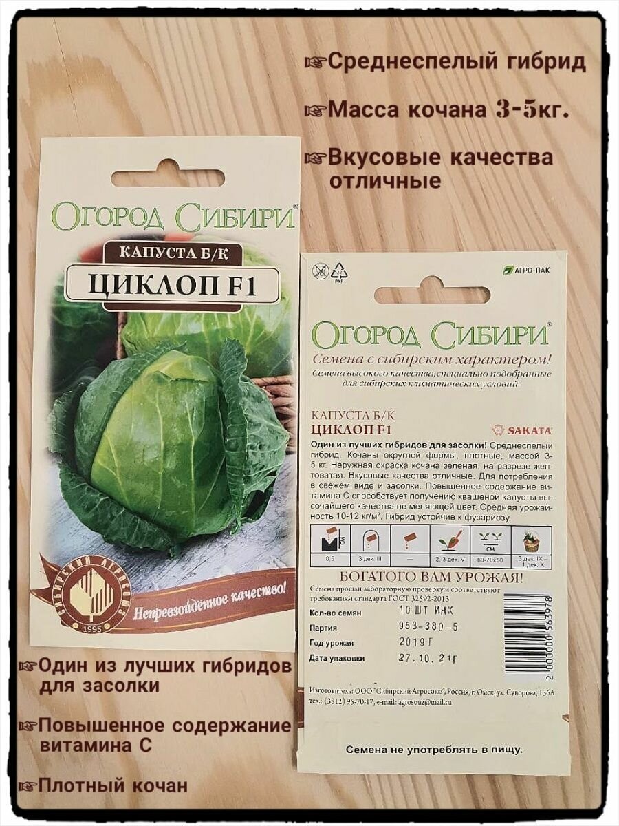 Капуста циклоп описание сорта фото отзывы Семена капусты, набор "Квашенок". - купить в интернет-магазине по низкой цене на