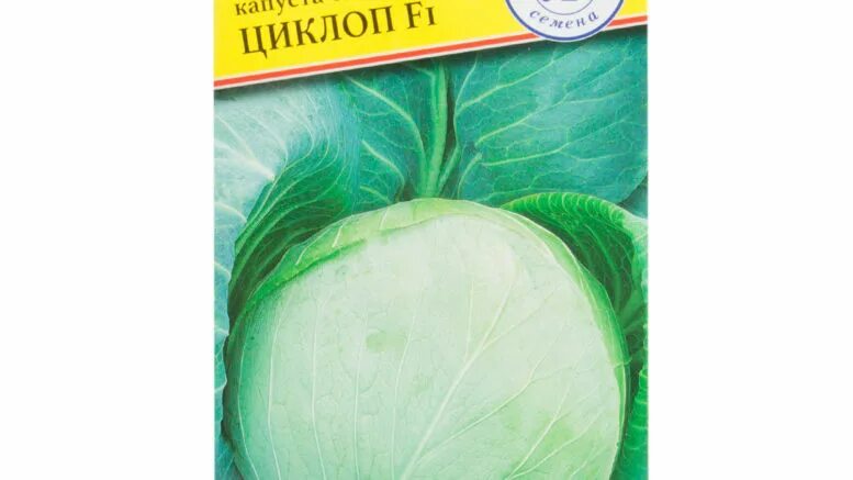 Капуста циклоп описание сорта фото отзывы капуста циклоп