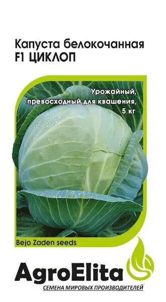 Капуста циклоп описание сорта фото отзывы садоводов Капуста Гавриш 1070007999 - купить по выгодным ценам в интернет-магазине OZON (5