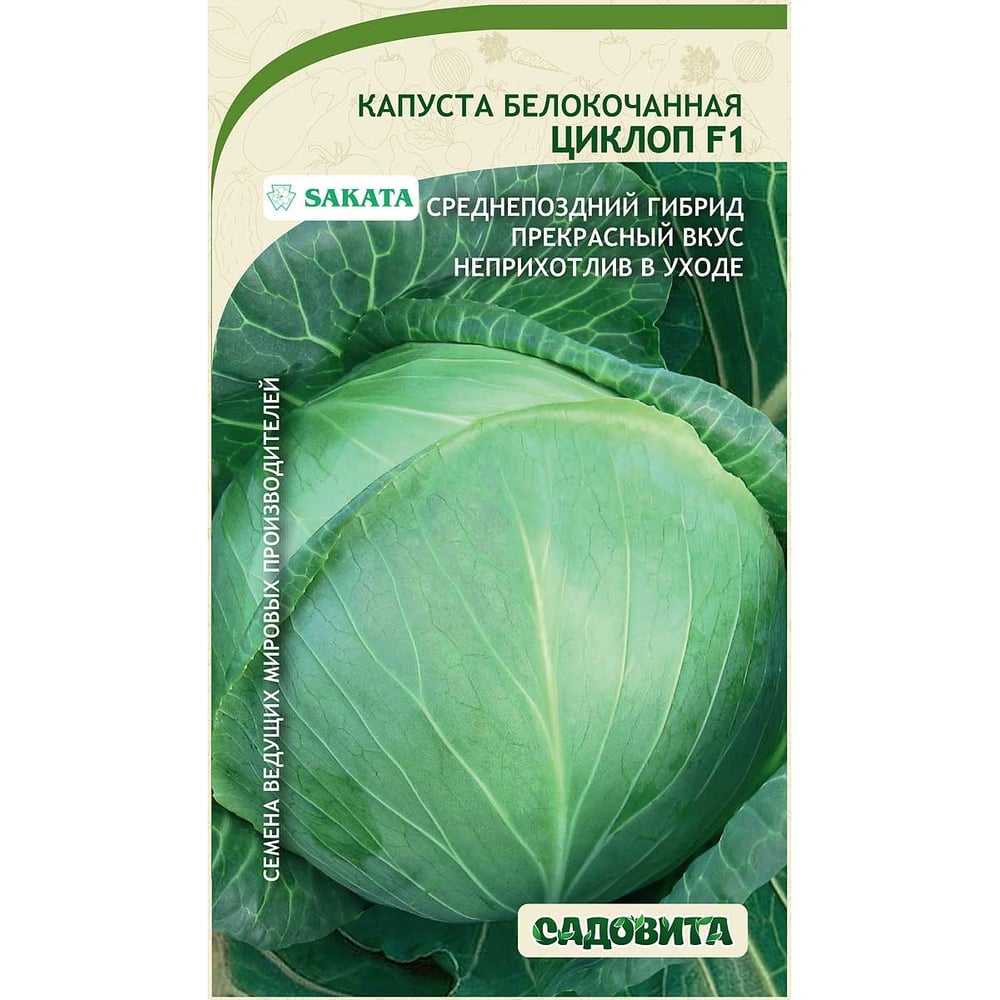 Капуста циклоп описание сорта фото отзывы садоводов Капуста циклоп описание сорта фото отзывы фото - Arhids.ru