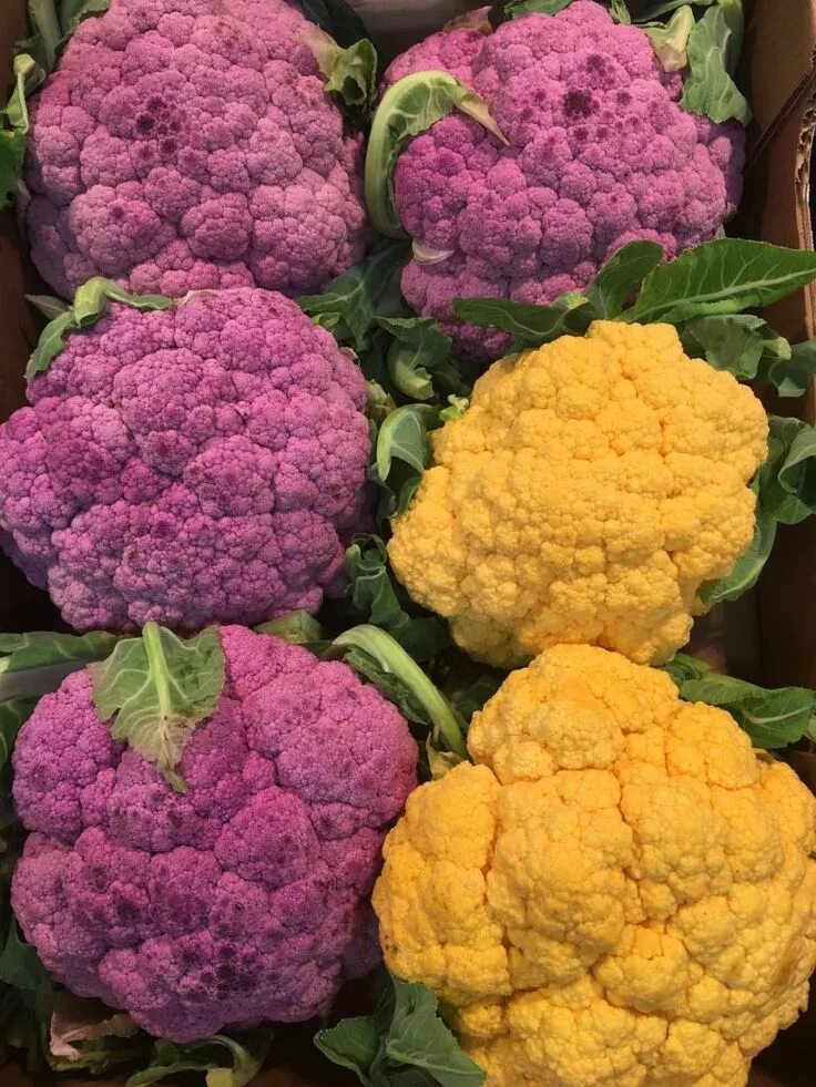 Капуста цветная фото какая бывает Roasted Rainbow Cauliflower Nutritional Institute Organic recipes healthy, Puree