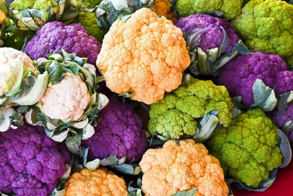Капуста цветная фото красивое Multicolored Cauliflower, Midtown Farmer's Market Cauliflower, Farmer, Vegetable
